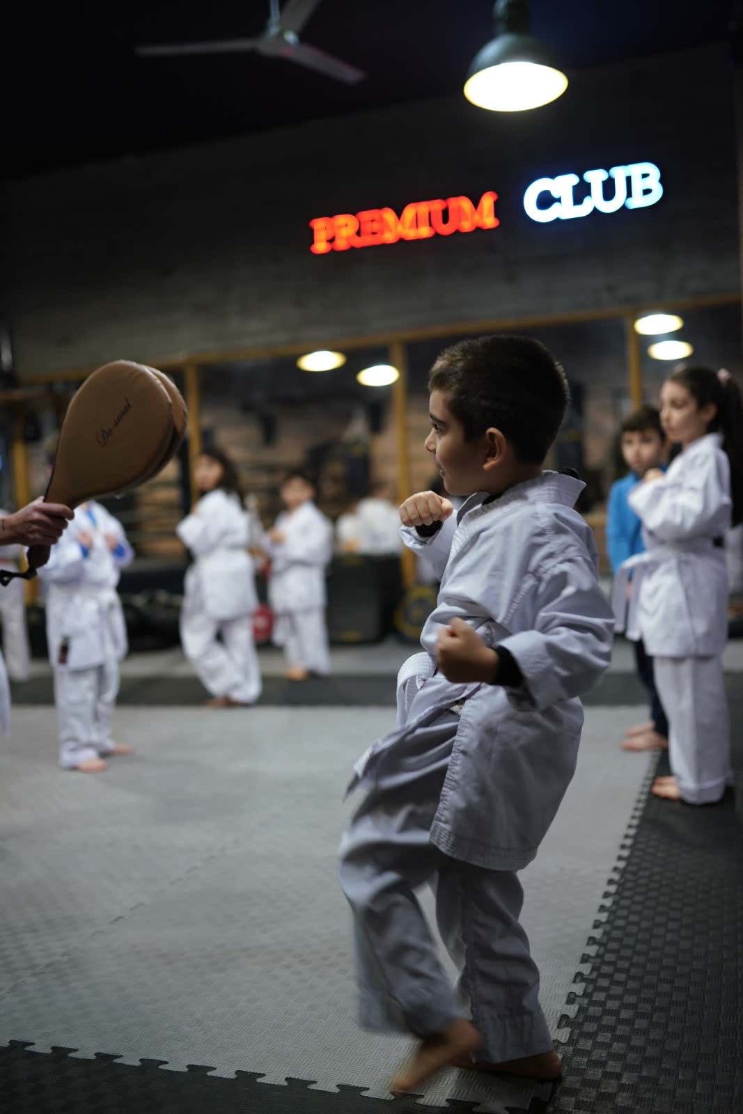 taekwondo kurslari