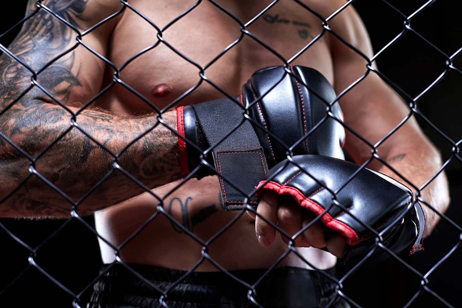 mma kurslari