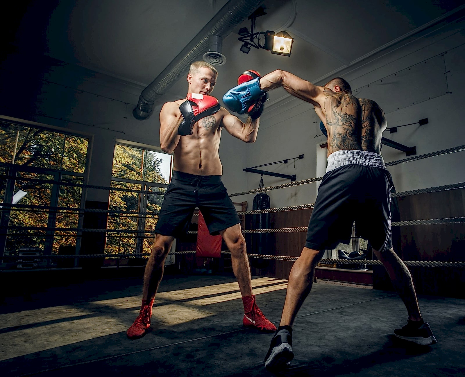 Cardio Kickboks